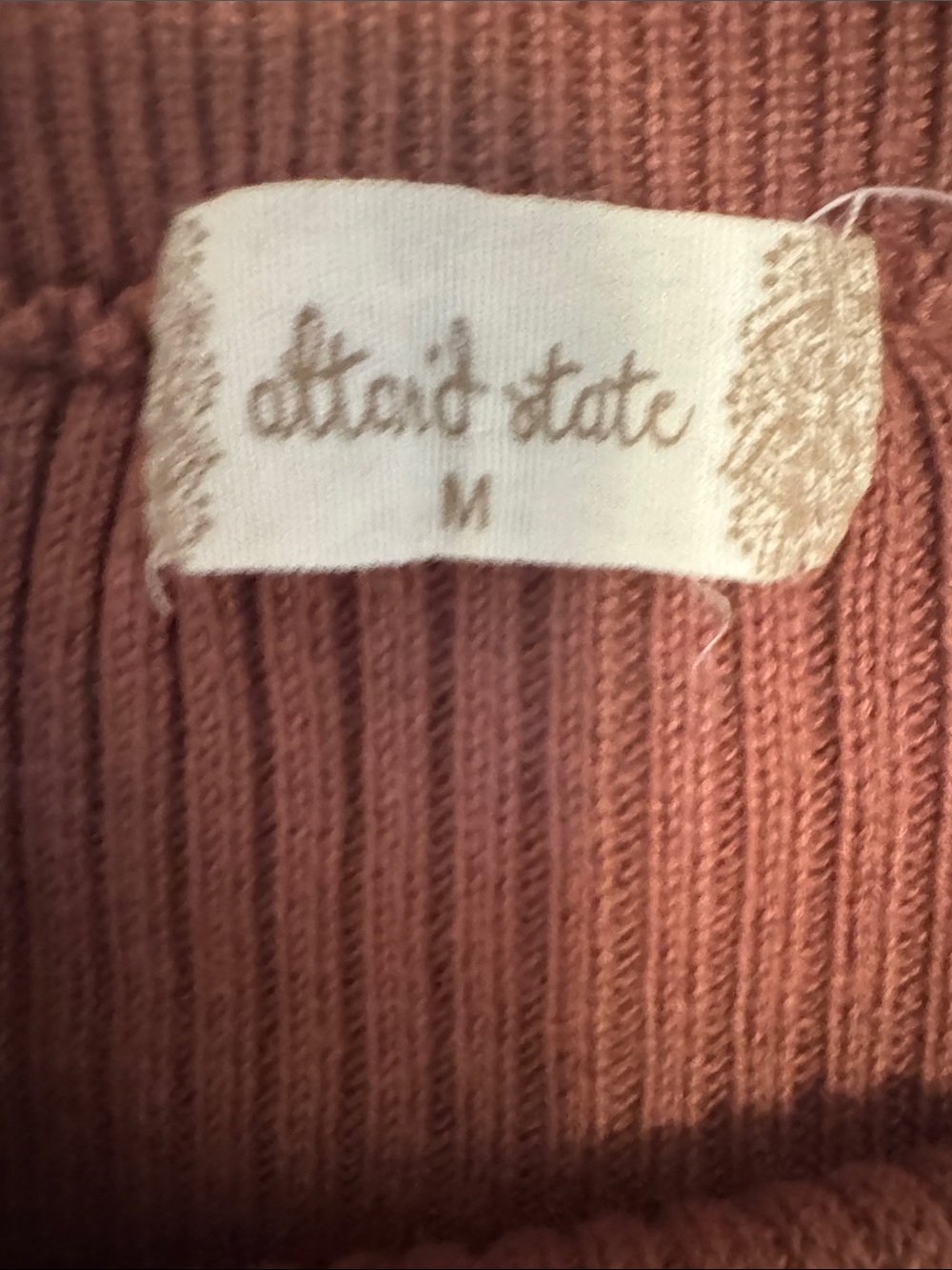 Altar'd State Rust Ribbed Short Sleeve Tee - Picture 2 of 3